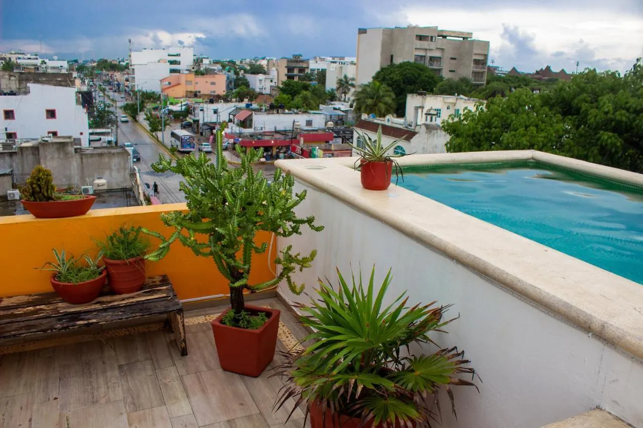 Apartahotel Hotel Eleven Playa del Carmen